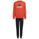 Adidas Παιδικές φόρμες σετ Essentials Big Logo Fleece Jogger Set